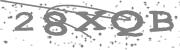 Type the letters in the image or Type the first letter of the words spoken in the audio.