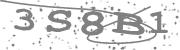 Type the letters in the image or Type the first letter of the words spoken in the audio.