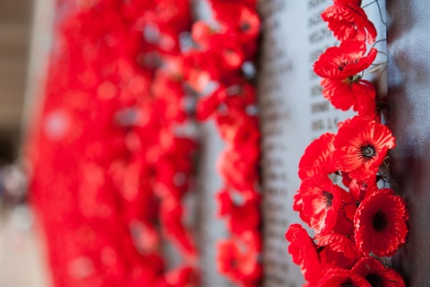 A photo of poppies on a memorial.