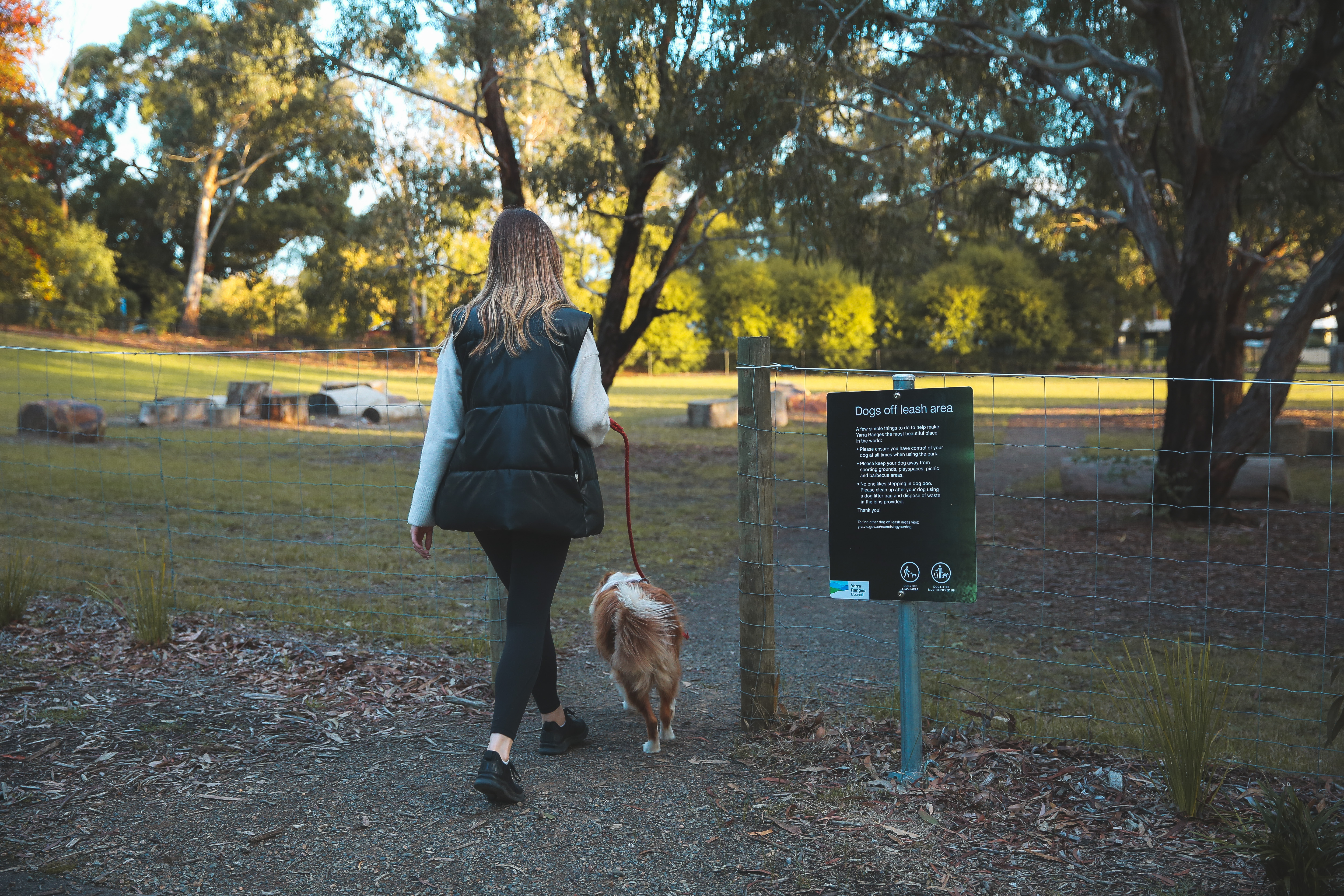 Elizabeth bridge Reserve Off Leash Dog area.jpg