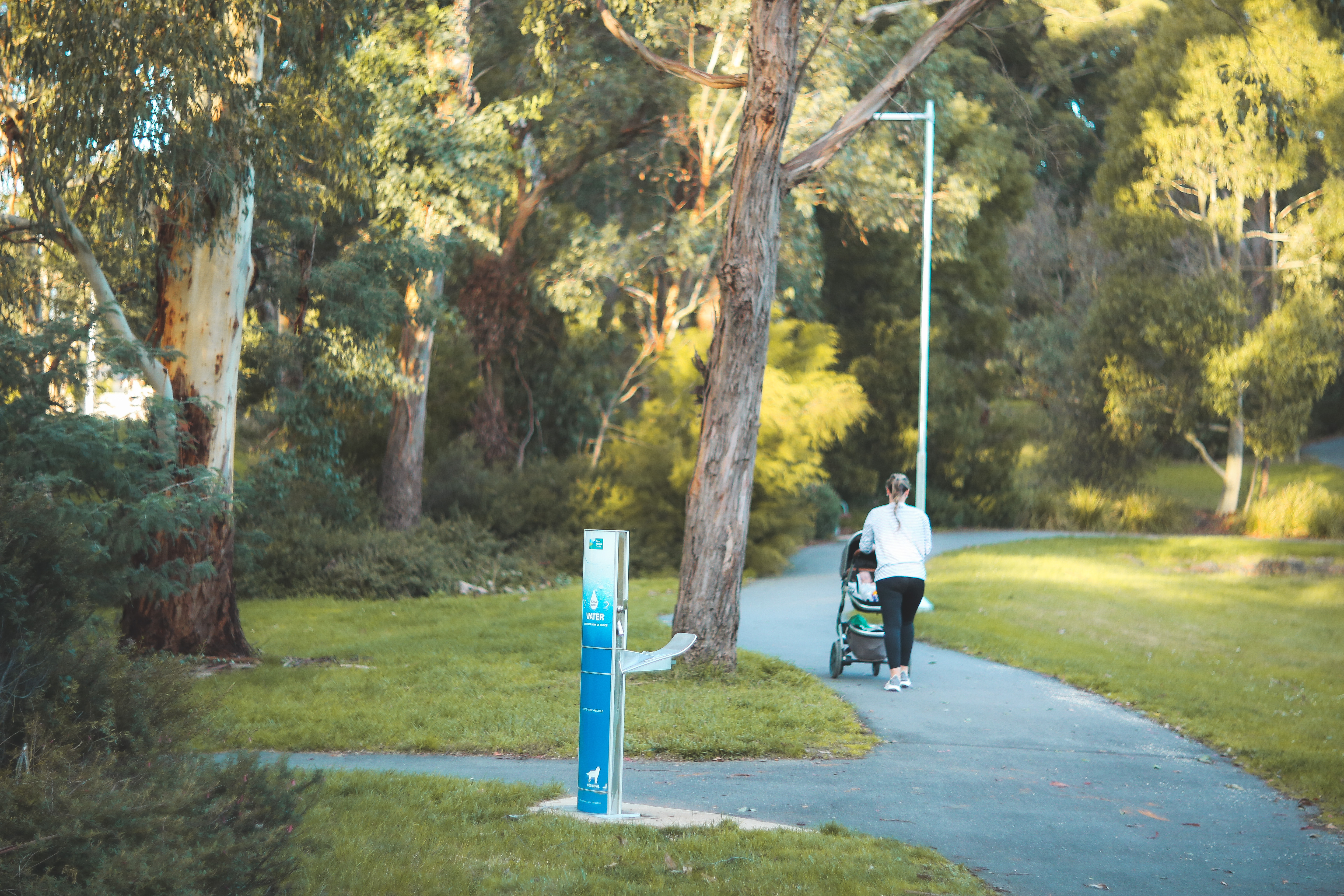 Elizabeth Bridge Reserve .jpg