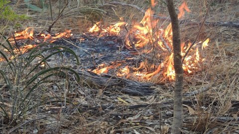 Reconciliation_week_2022 fire image.jpg