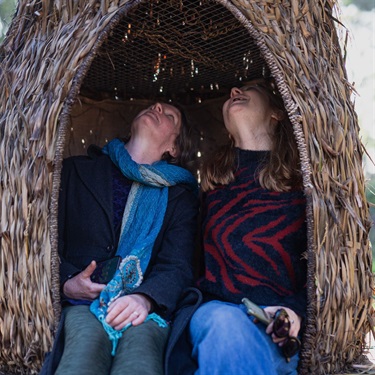 Sitting inside the Tawny Frogmouth