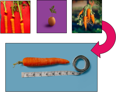 Carrot Picture1.png