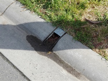 Curb Adaptor