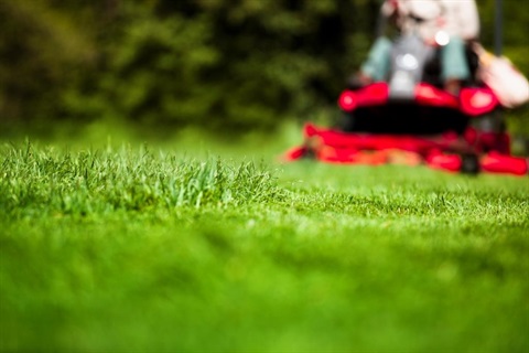 A person riding a mower (out of focus) with grass in the foreground.