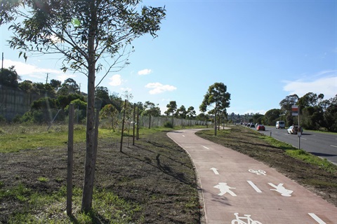 A photo of the Green Spine path.