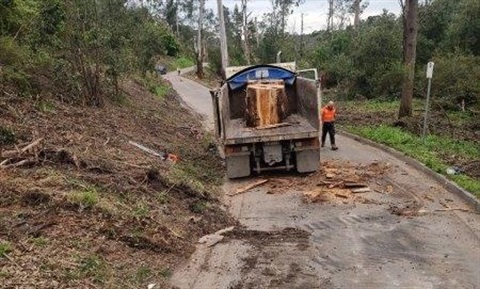 Lilydale-clean-up.jpg