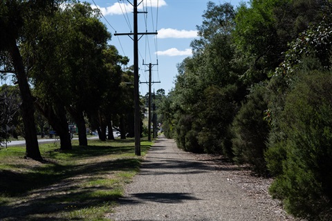 A photo of a footpath in Coldstream, with trees on the left and right and powerlines overhead.