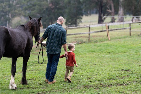 A man leads a horse and a child through a paddock