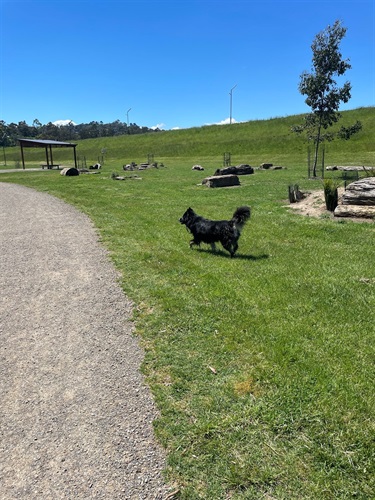 Dog Off Leash Area