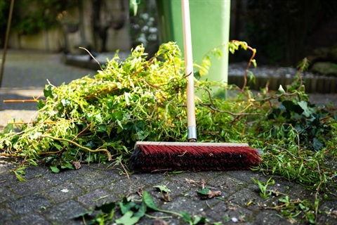 A broom with vegetation and a wheelie bin in the background.