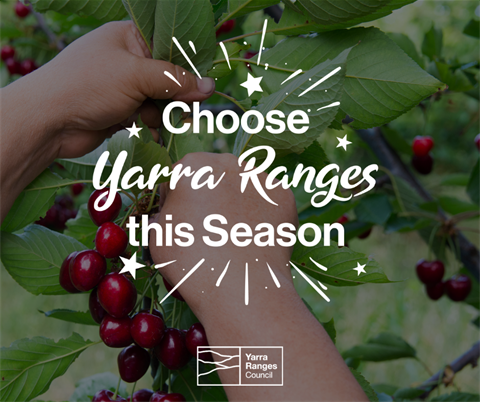 Choose Yarra Ranges this Season (9).png