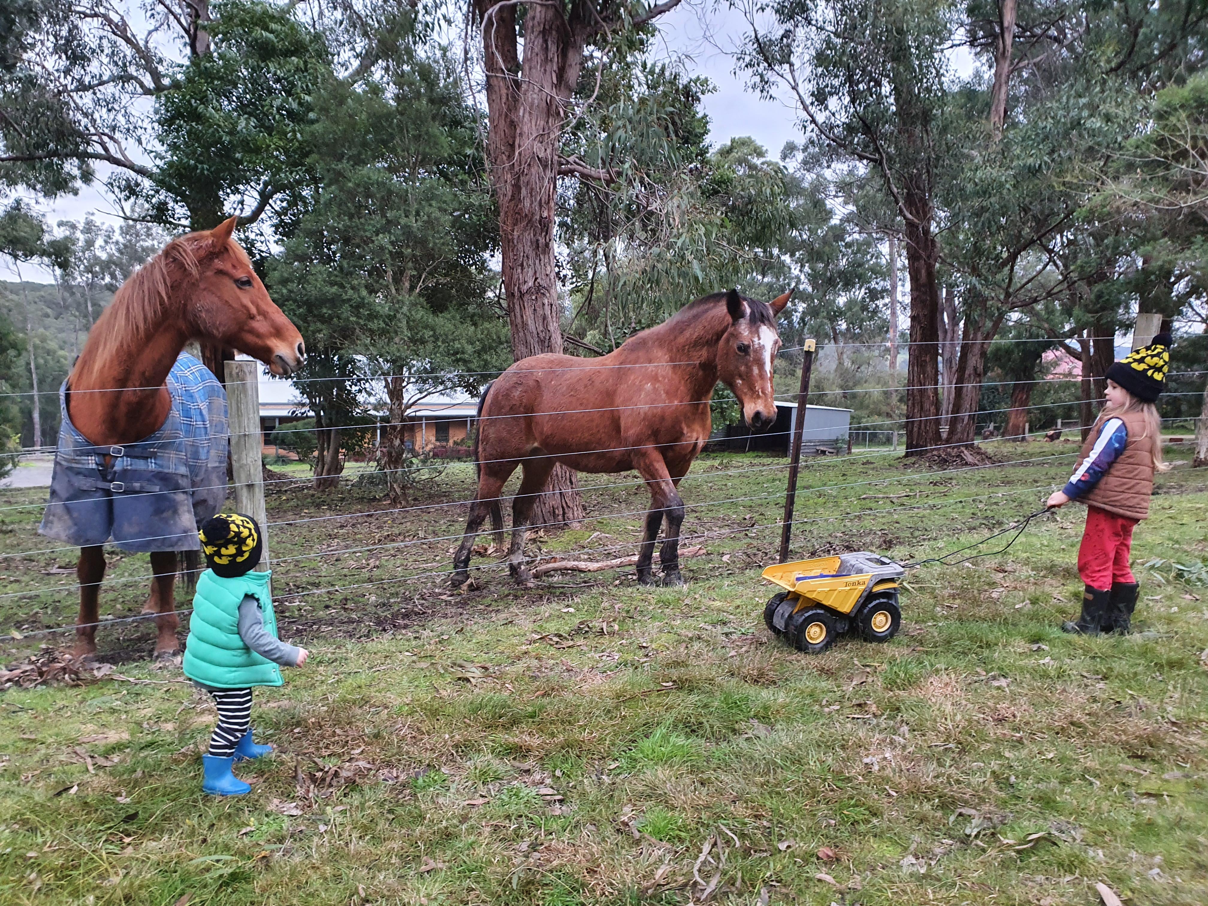 An image by Michaela Alcorn of two kids talking to two brown horses