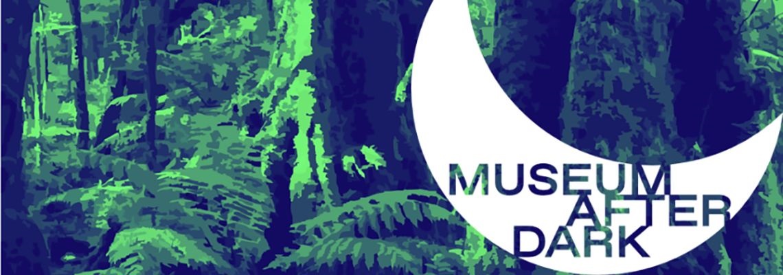 Gondwana Museum After Dark