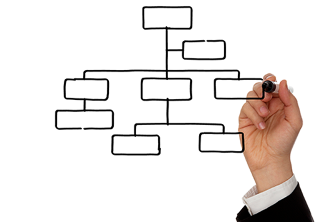 Someone drawing a organisational structure 
