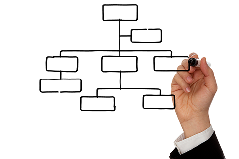 Someone drawing a organisational structure 