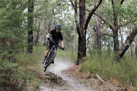 Mountain biking project outlet