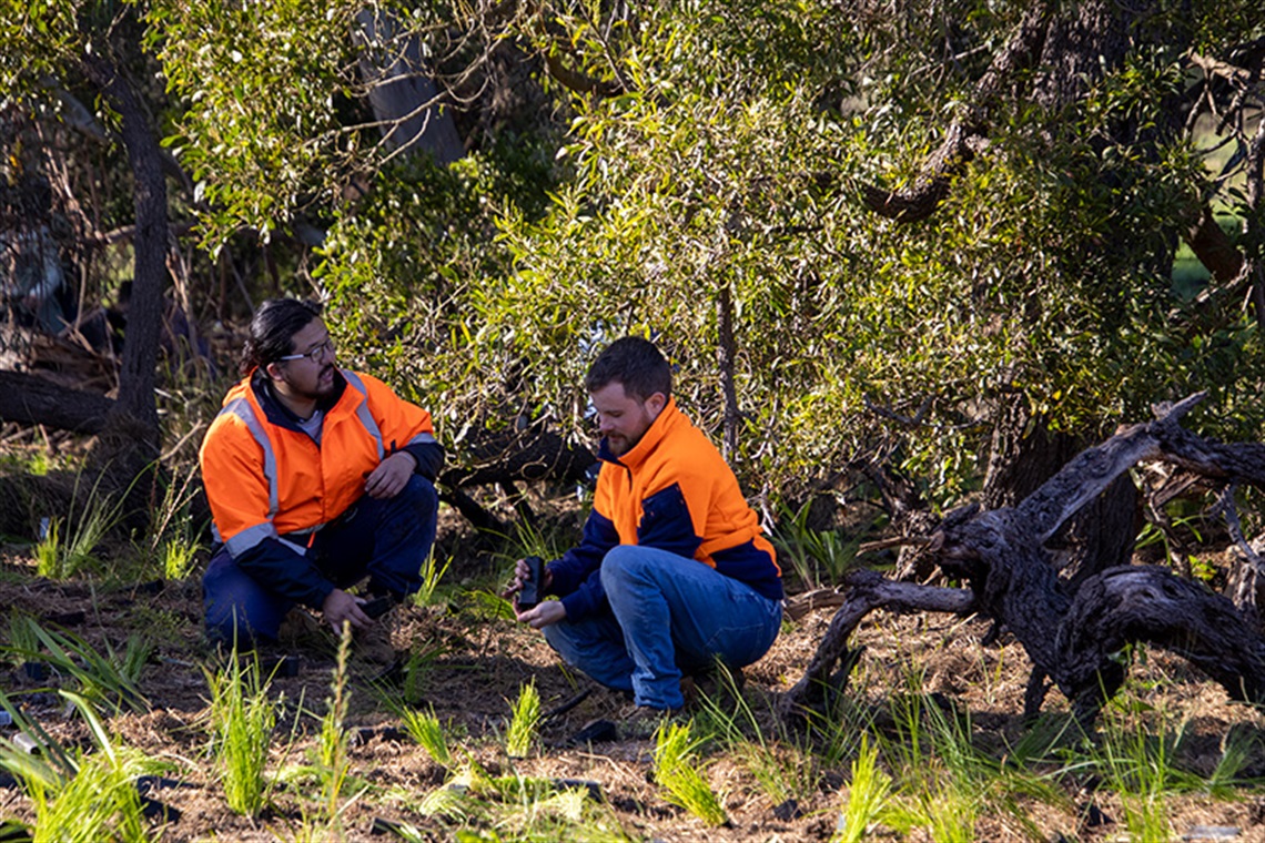 staff-planting-woori-yallock-2024-1.jpg