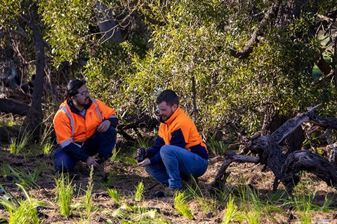 staff-planting-woori-yallock-2024-1.jpg