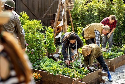 community-garden-volunteering.jpg
