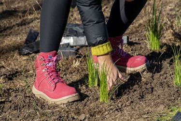 Close up of person planting