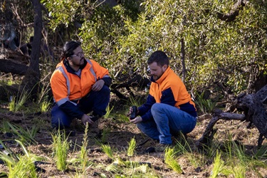 Planting day in Woori Yallock