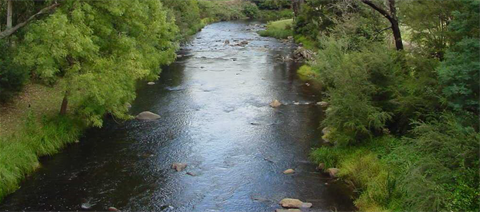 Healthy waterways.png