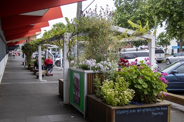 Lilydale Community Garden - Footpath View