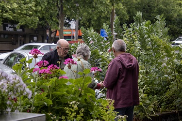 Lilydale Community Garden - People Harvest