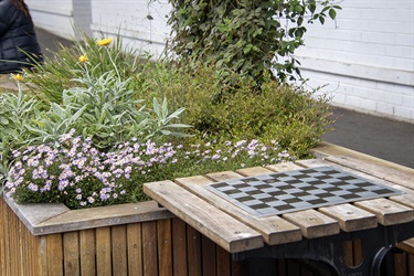 Lilydale Community Garden - Chess Table