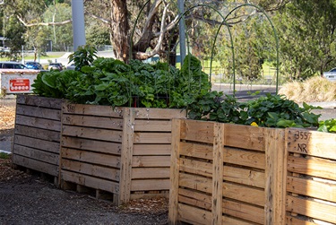 Lilydale Community Garden - Hardy Street