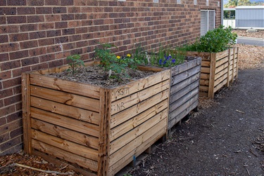 Lilydale Community Garden - Hardy Street