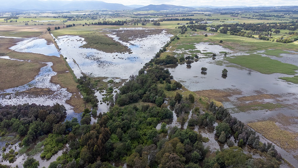 Yering-billabong-project-flooded-area.jpg
