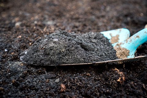 biochar-on-spade-800px.jpg