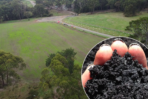 biochar-wildridge-farm.jpg