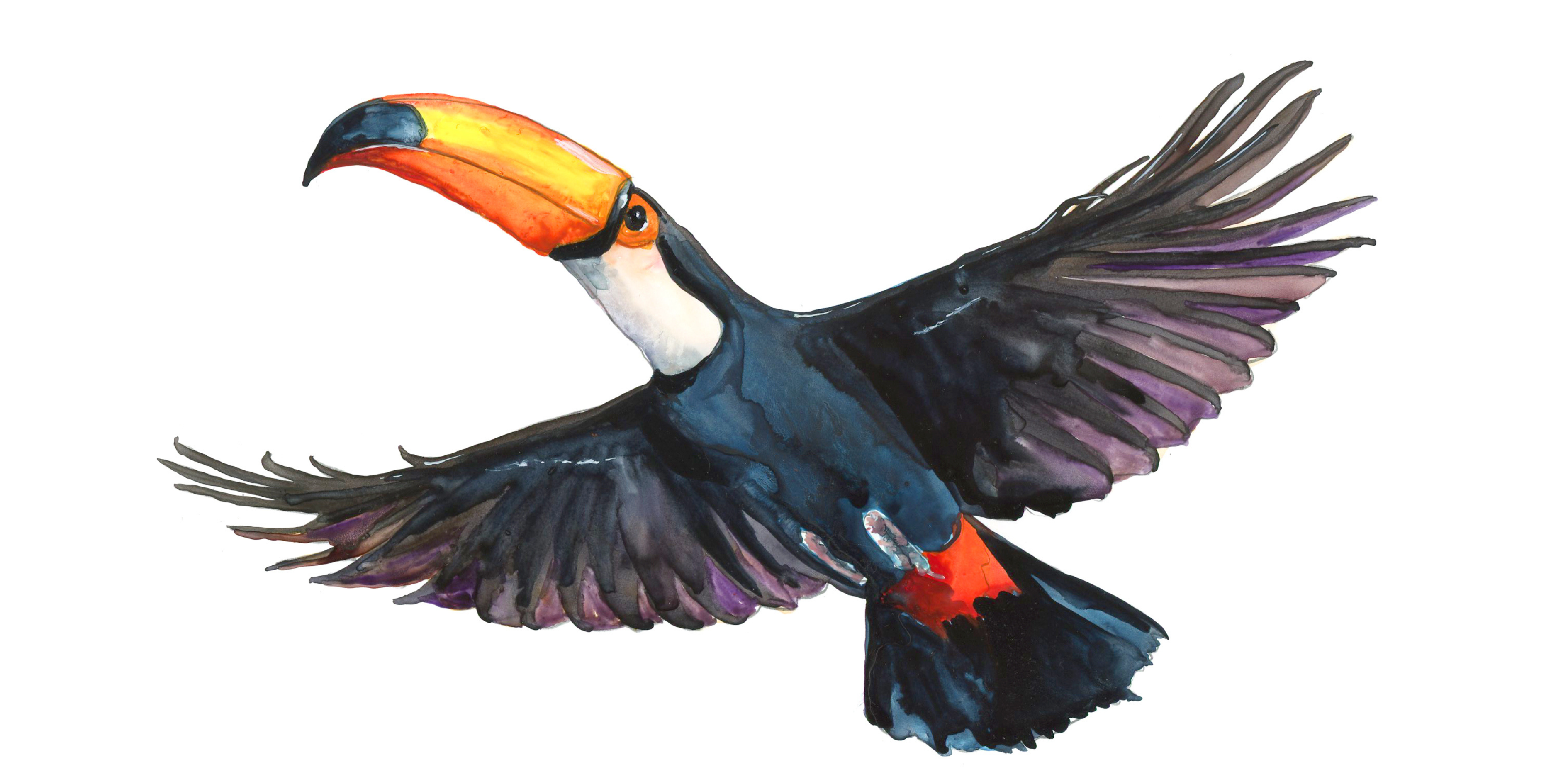 Flora Fauna, Folklore Rotating Banner 4.png