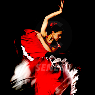 Flamenco Dance with Senes Flamenco
