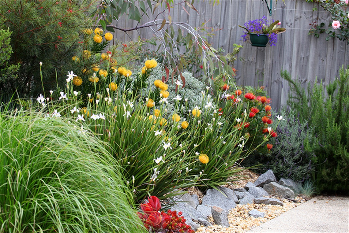 native-garden.jpg