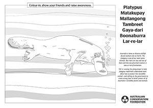 Platy-project-colouring-sheet-sml.jpg