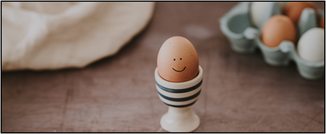 egg image.png