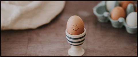 egg image.png