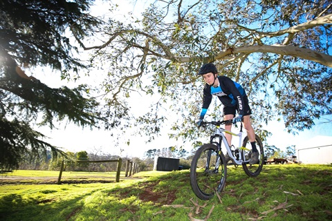 A boy rides a bike down a hill, surrounded by trees.