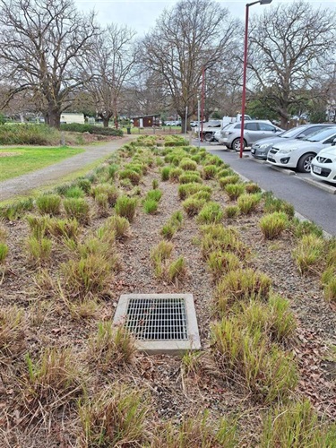 Melba Park - Billanook Ward