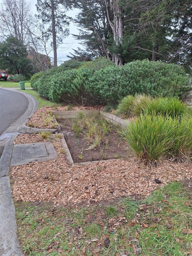 Lara Court Mount Evelyn WSUD maintenance (Billanook Ward)