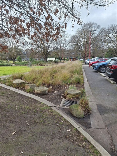 Melba Park Water Sensitive Urban Design pruning and cleaning