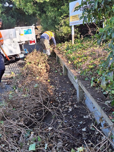 Monbulk Tennis Club pruning works