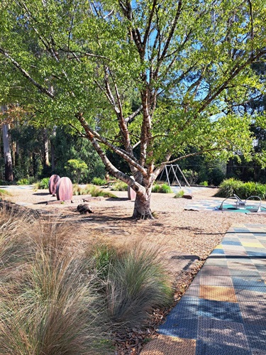 Olinda-playspace-pruning-and-weed-control_April2025.jpg