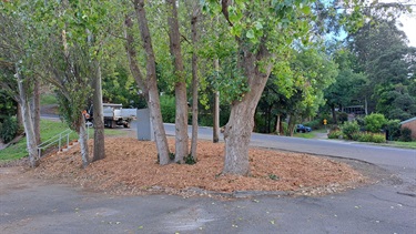 Upwey-Rec-planting-prep-April2025.jpg