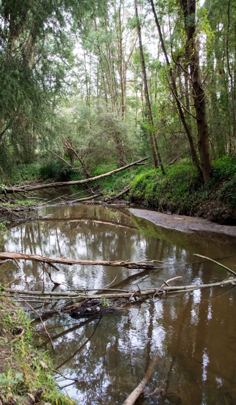 Watts River at Coronation Park